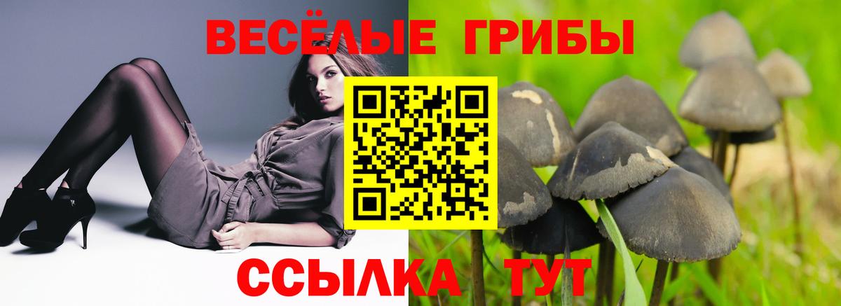 Галлюциногенные грибы мицелий Новомосковск